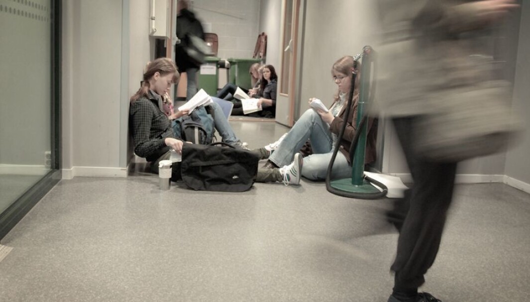 Skippertak: Forskning dokumenterer at selv studenter som oppnår gode karakterer, ikke er i stand til å gjennomføre samme eksamen noen måneder senere. Skippertak: Forskning dokumenterer at selv studenter som oppnår gode karakterer, ikke er i stand til å gjennomføre samme eksamen noen måneder senere.