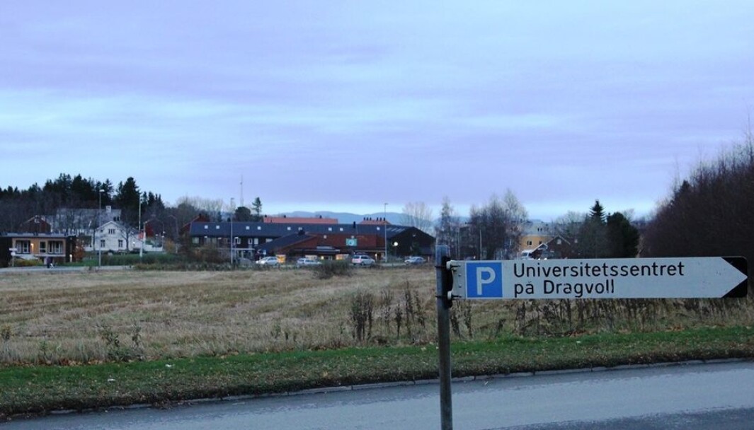 Oppfordringen til NTNU er at vi aksler en større kunnskapstrøye enn den vi har på nå. Oppfordringen til NTNU er at vi aksler en større kunnskapstrøye enn den vi har på nå.