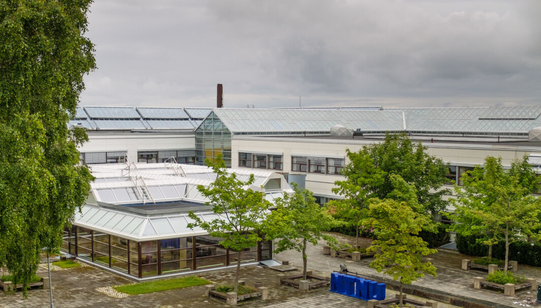 En snartur innom Dragvoll og dermed var det gjort. Svært mange likte å lese Arve Hjelseths skildring av å få bot En snartur innom Dragvoll og dermed var det gjort. Svært mange likte å lese Arve Hjelseths skildring av å få bot