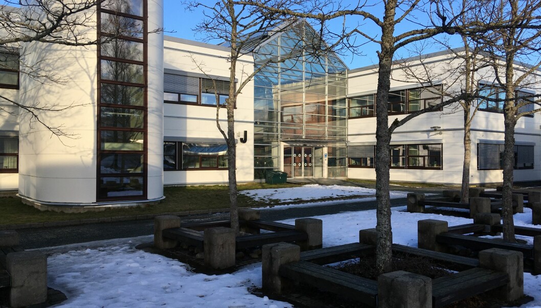 Uppglasad entré mellan byggnad 4 och 5, trapptorn med stående fönsterband samt skulptural park med bänkar i betong och trä: Dragvoll i februari 2020