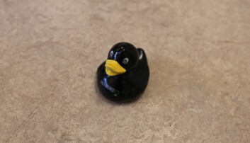 En av Hackerspace sine offisielle gummiender. Innen programmering har man et uttrykk som heter "rubber duck debugging". Hvis du sliter med noe så kan du forklare all koden, linje for linje til en gummiand, så kanskje du kommer på en løsning. En av Hackerspace sine offisielle gummiender. Innen programmering har man et uttrykk som heter "rubber duck debugging". Hvis du sliter med noe så kan du forklare all koden, linje for linje til en gummiand, så kanskje du kommer på en løsning.