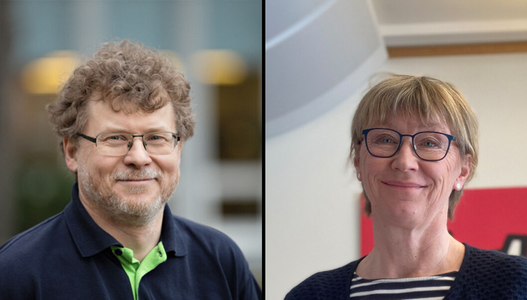 To ut av rekka går: John Krogstie og Margrethe Aune ble først godkjent som styrekandidater, men så oppdaget valgstyret at de ikke er valgbare siden de i dag er instituttledere. To ut av rekka går: John Krogstie og Margrethe Aune ble først godkjent som styrekandidater, men så oppdaget valgstyret at de ikke er valgbare siden de i dag er instituttledere.