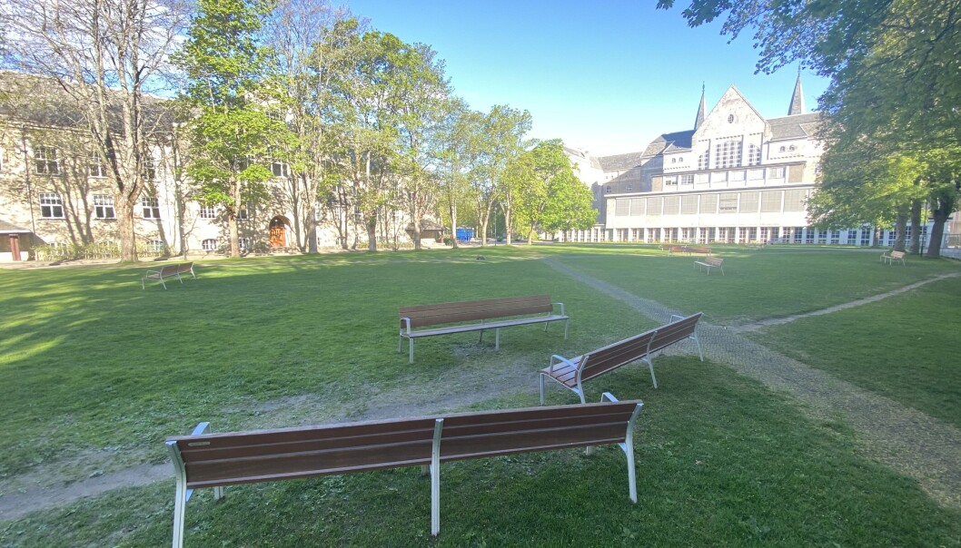 Fredag morgen er parkområdet tomt. Torsdag kveld var 150-200 studenter samlet til fest, i følge politiet for å feire masteroppgavene sine. Fredag morgen er parkområdet tomt. Torsdag kveld var 150-200 studenter samlet til fest, i følge politiet for å feire masteroppgavene sine.
