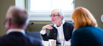 Rektor Anne Borg tjener mest av de statlige rektorene i Norge