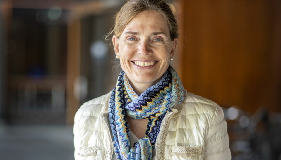 Karen Helene Ulltveit-Moe er professor i økonomi.