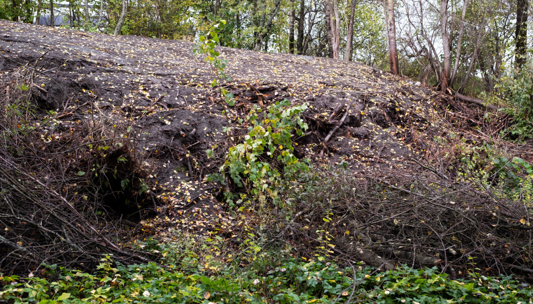 Sprutenskogen Sprutenskogen
