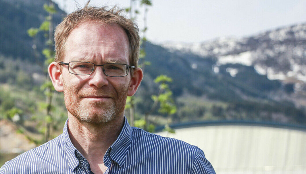 Hoel kommer fra Trondheim og tok en doktorgrad i historie ved NTNU i 2009. Hoel kommer fra Trondheim og tok en doktorgrad i historie ved NTNU i 2009.