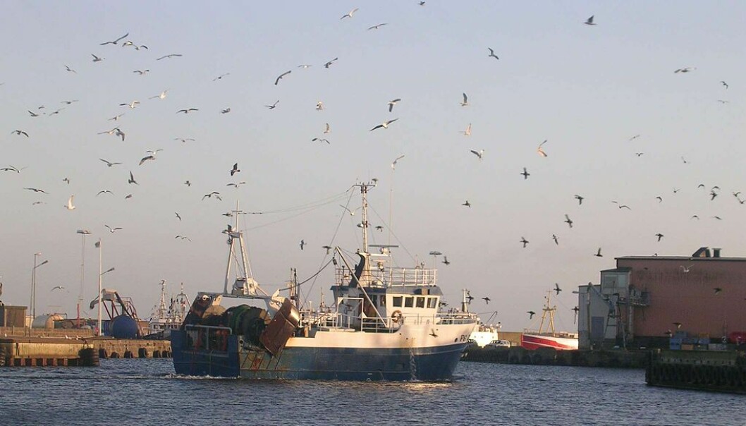 Fiskerinæringa: Kvinnelige forskere utgjør fortsatt et stort mindretall. Innsenderne etterlyser mer forskning. Fiskerinæringa: Kvinnelige forskere utgjør fortsatt et stort mindretall. Innsenderne etterlyser mer forskning.