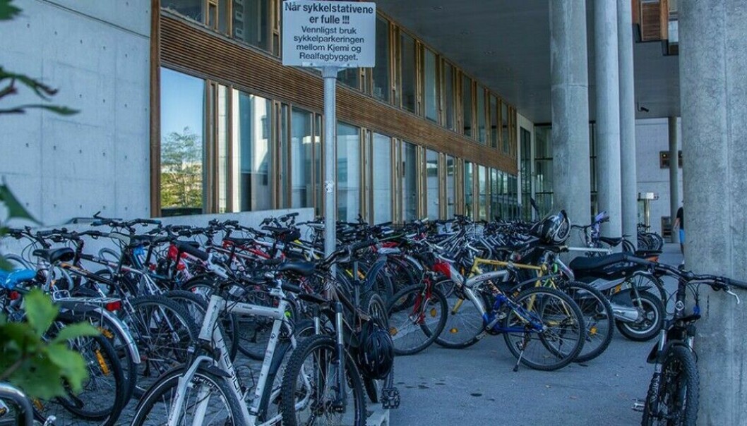 NTNU må planlegge med en kraftig vekst i sykkeltrafikken når parkeringsplassene for bil etter hvert forsvinner fra Gløshaugen.