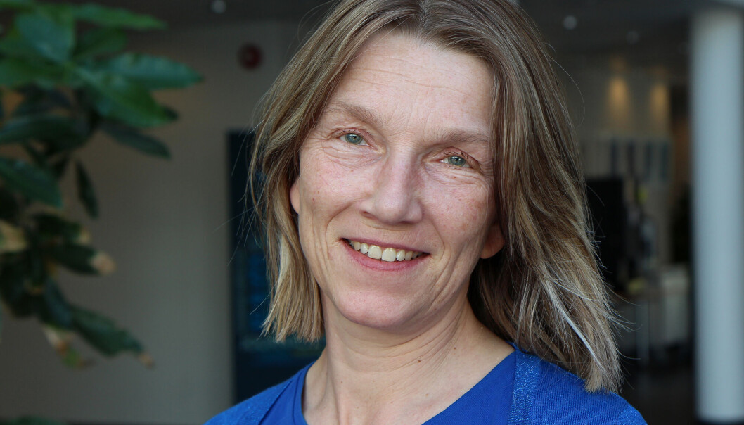 Torill Risøy har vært gjennom en følelsesmessig karusell de siste årene. Torill Risøy har vært gjennom en følelsesmessig karusell de siste årene.