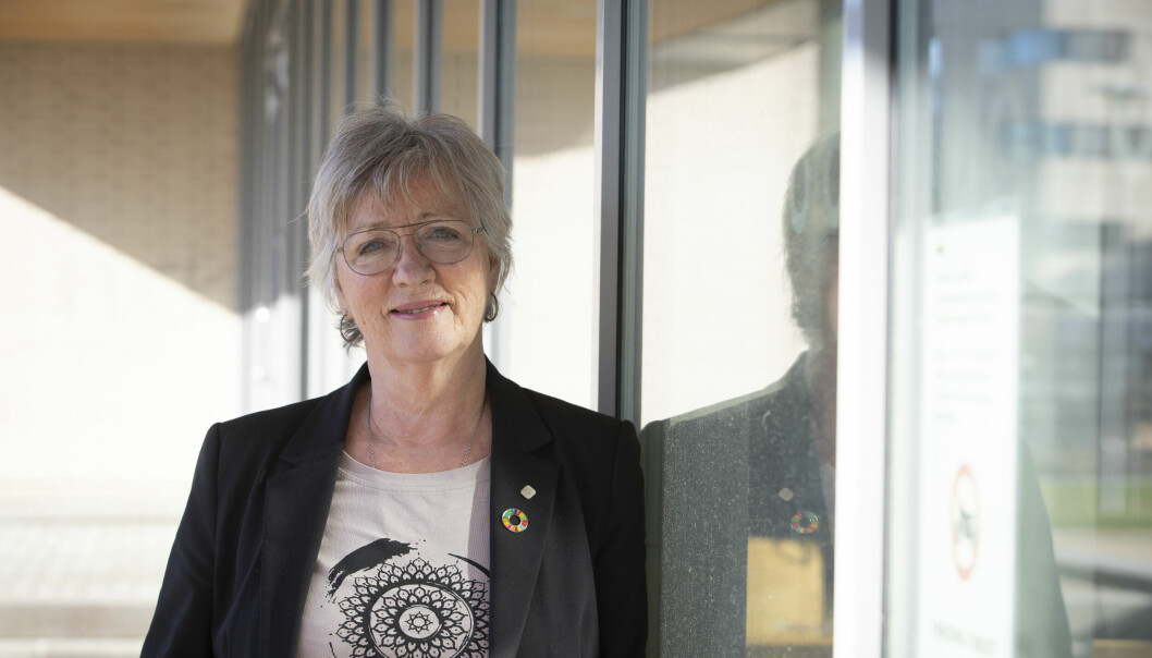 Bærekraft har vært en rød tråd gjennom hele forskerkarrieren til viserektor Annik Magerholm Fet.
