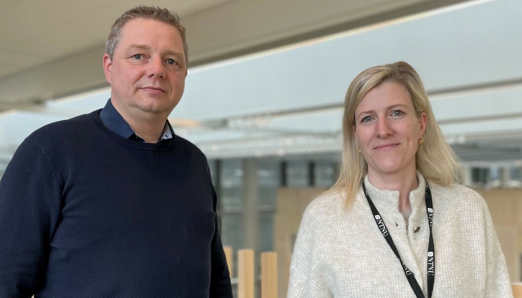 Didrik Tårnesvik har jobbet som jurist i HR- og HMS-avdelingen i 9 år, det siste året som faggruppeleder for faggruppe for Strategi og arbeidsgiverfunksjon. Marion Ramberghaug juridisk seniorrådgiver i Arbeidstilsynet i 12 år innen hun tiltrådte ved NTNU. Didrik Tårnesvik har jobbet som jurist i HR- og HMS-avdelingen i 9 år, det siste året som faggruppeleder for faggruppe for Strategi og arbeidsgiverfunksjon. Marion Ramberghaug juridisk seniorrådgiver i Arbeidstilsynet i 12 år innen hun tiltrådte ved NTNU.