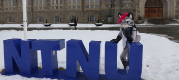 NTNU-studenter og furries: På campus er de velkomne, men på internett får de hat
