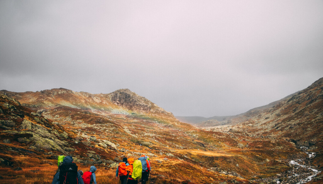 Senter for digitalt liv hadde en såkalt walkshop i Jotunheimen for å bli bedre kjent. På denne måten ble de kjent med hverandre ved å ha en opplevelse sammen, noe som kan være minst like viktig for det videre samarbeidet som å være lokalisert nær hverandre, forteller Hesjedal. Senter for digitalt liv hadde en såkalt walkshop i Jotunheimen for å bli bedre kjent. På denne måten ble de kjent med hverandre ved å ha en opplevelse sammen, noe som kan være minst like viktig for det videre samarbeidet som å være lokalisert nær hverandre, forteller Hesjedal.