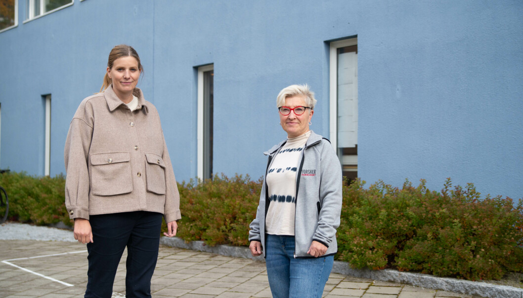 Marte Villmo og Lisbeth Aune i Forskerforbundet frykter at utenlandske arbeidstakere kan komme dårligere ut når lønn ikke oppgis i stillingsannonsen. Marte Villmo og Lisbeth Aune i Forskerforbundet frykter at utenlandske arbeidstakere kan komme dårligere ut når lønn ikke oppgis i stillingsannonsen.