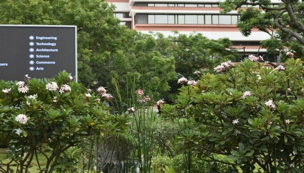 På universitetet der jeg studerer i India, Indian Institute of Technology Madras (bildet), er situasjonen mildt sagt stusselig når det kommer til mental helse, skriver Amalie Farestvedt. På universitetet der jeg studerer i India, Indian Institute of Technology Madras (bildet), er situasjonen mildt sagt stusselig når det kommer til mental helse, skriver Amalie Farestvedt.