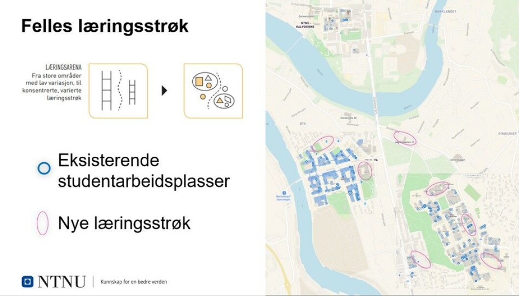 De rosa sirklene viser hvor man tenker at de nye læringsstrøkene for studenter skal bli i ny campus. Læringsstrøkene vil være felles for alle studenter. De rosa sirklene viser hvor man tenker at de nye læringsstrøkene for studenter skal bli i ny campus. Læringsstrøkene vil være felles for alle studenter.