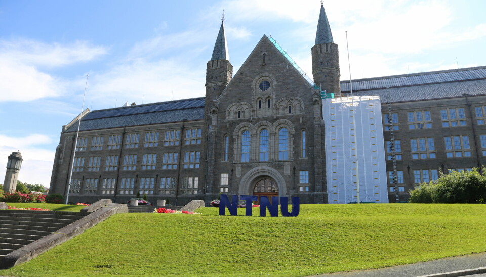 I år er det 301 internasjonale studenter som har takket ja til studieplass ved de internasjonale masterprogrammene ved NTNU.