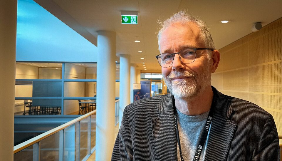 Øivind Strand, professor, nestleiar med ansvar for forsking ved Institutt for internasjonal forretningsdrift, NTNU Ålesund