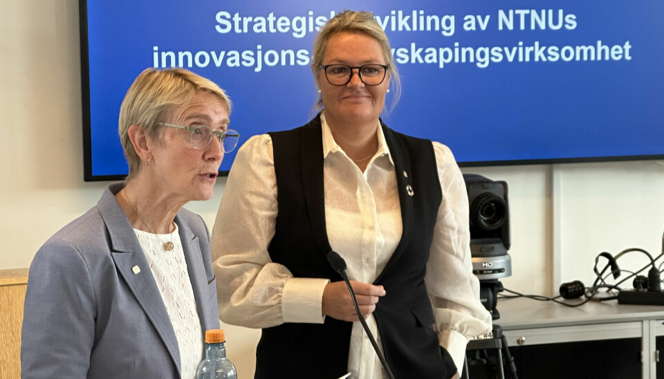 - Dette er viktigere enn noen gang, sa rektor Anne Borg da hun introduserte Toril Hernes og arbeidet med nyskaping og innovasjon.