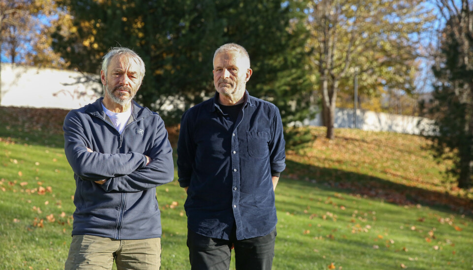 Professor Christophe Pelabon (t.v.) og professor Trond Amundsen ved Institutt for biologi frykter sammenslåingen til en felles bachelor vil være ødeleggende for biologifaget. - Hvis dette går gjennom, er jeg nesten glad jeg snart skal pensjonere meg, sier Trond Amundsen.