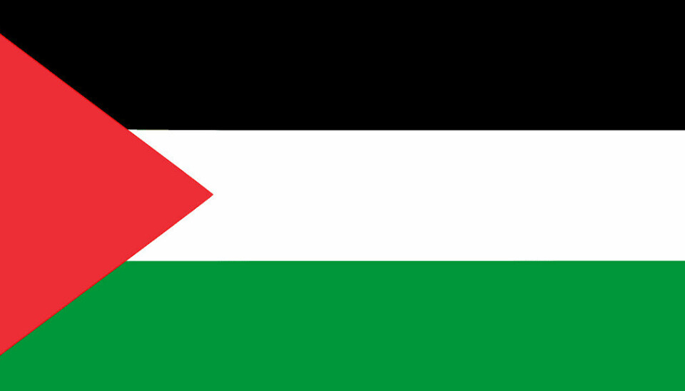 Palestinas flagg bør også få lyse opp Hovedbygget, i likhet med Ukrainas.
