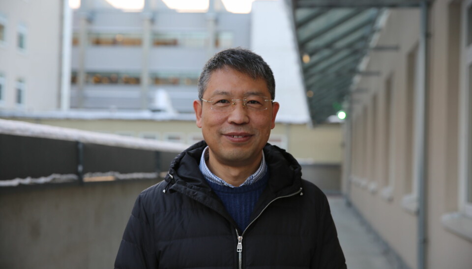 Professor ved Institutt for materialteknologi, Yanjun Li er frustrert over at prosessen har tatt ett år.