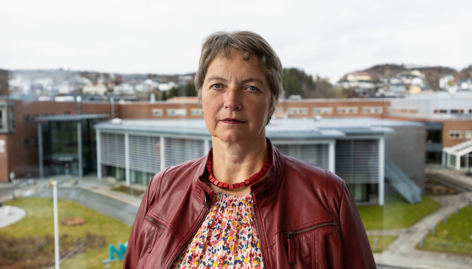 Nord universitets rektor Hanne Solheim Hansen sier at de ikke kommer til å gå offentlig med informasjon om hvorvidt de finner fusk i Ingvild Kjerkols masteroppgave.