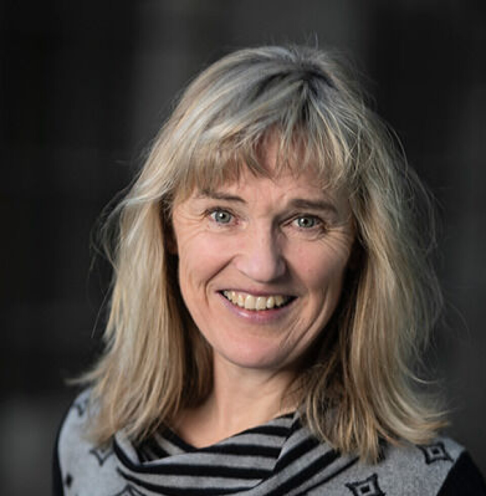 Konstituert instituttleder ved ILU, Ruth Grüters.