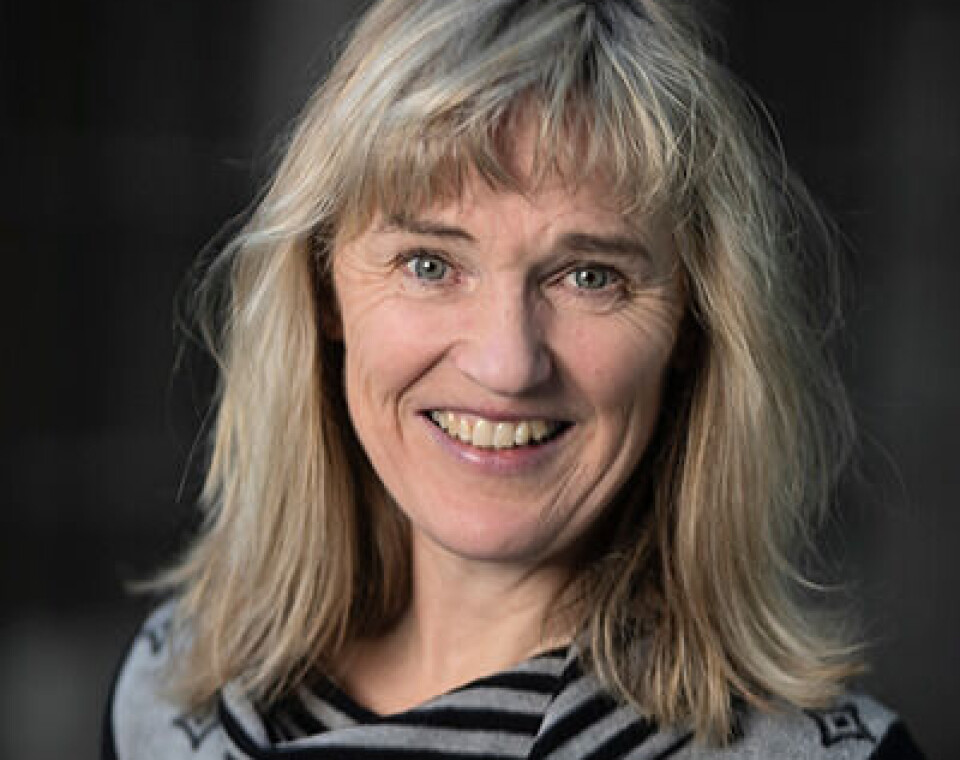 Ifølge konstituert instituttleder ved ILU, Ruth Grüters, var det i 2021 ingen grunn til å tro at ILU ikke skulle få bruk for arealet de neste 10 årene.