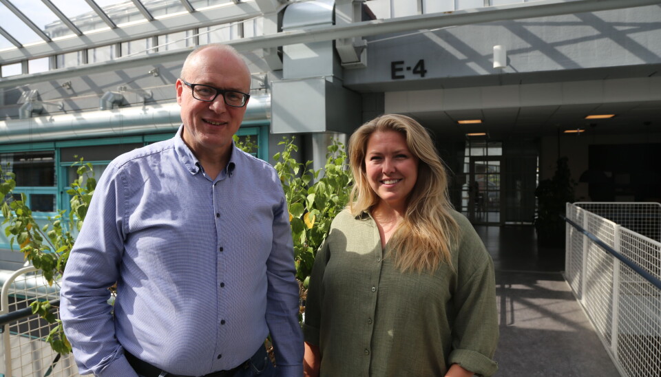 Ny Leiar Med Ambisjonar Eg Vil Vere Med Ta NTVA Til Neste Niv ny-leiar-med-ambisjonar-eg-vil-vere-med-ta-ntva-til-neste-niv