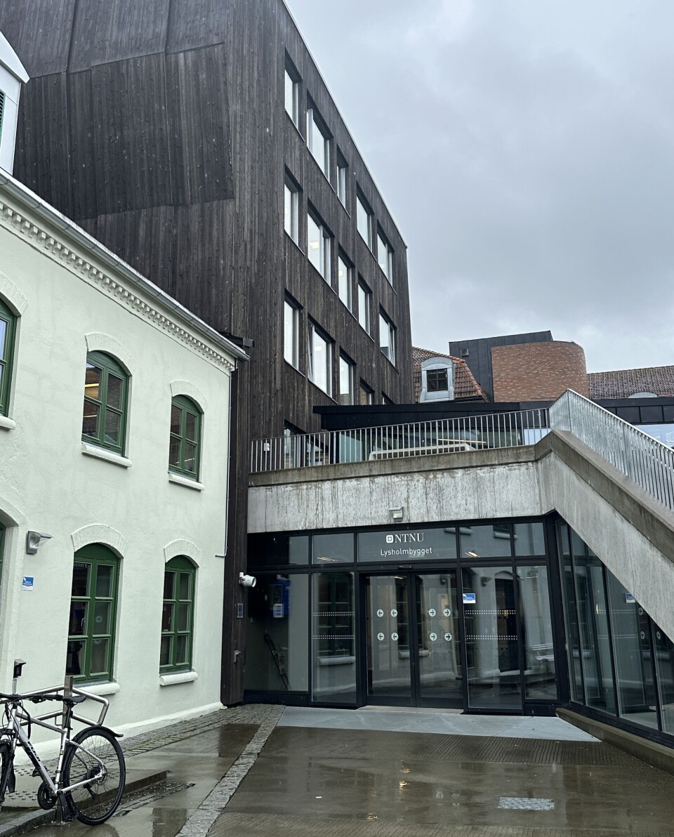 I januar 2018 flyttet deler av lærerutdanningen ved NTNU inn i Lysholmbygget. NTNU leier i dag bygget av E.C Dahls Eiendom.