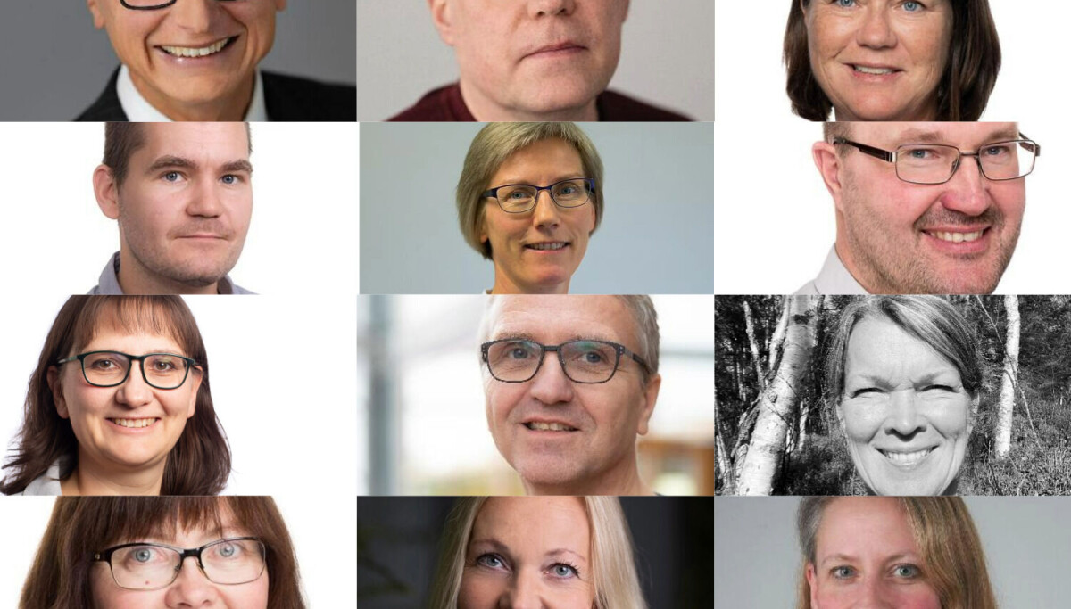 Tolv NTNU-undervisere får utmerkelse