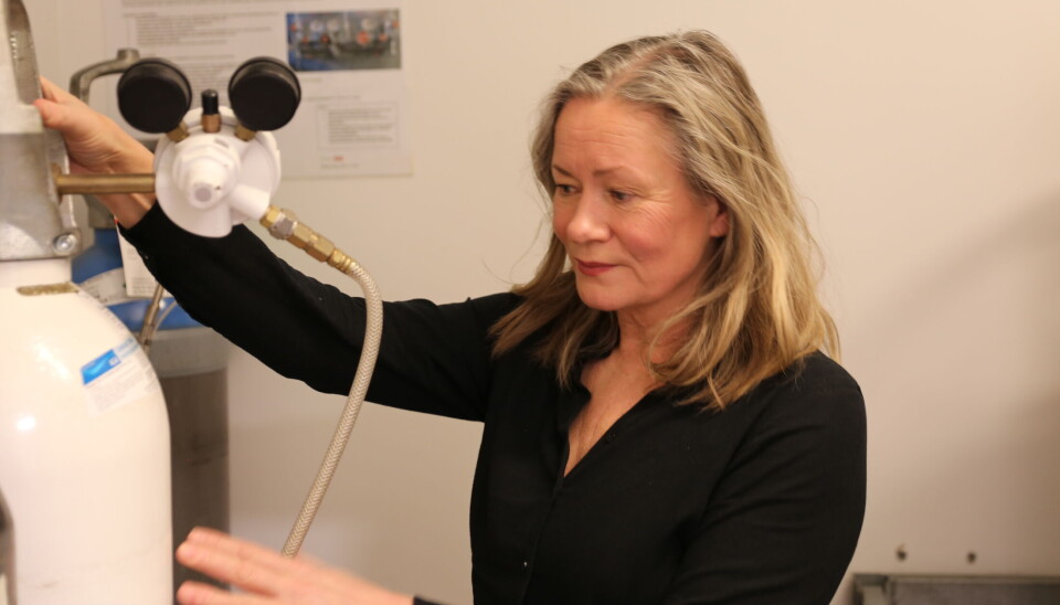 Selv om hun har trivdes som forskningsrådgiver, er det å forske selv Ingrid Eftedal har vært mest interessert i. Selv om det har medført en karriere preget av mer usikkerhet.