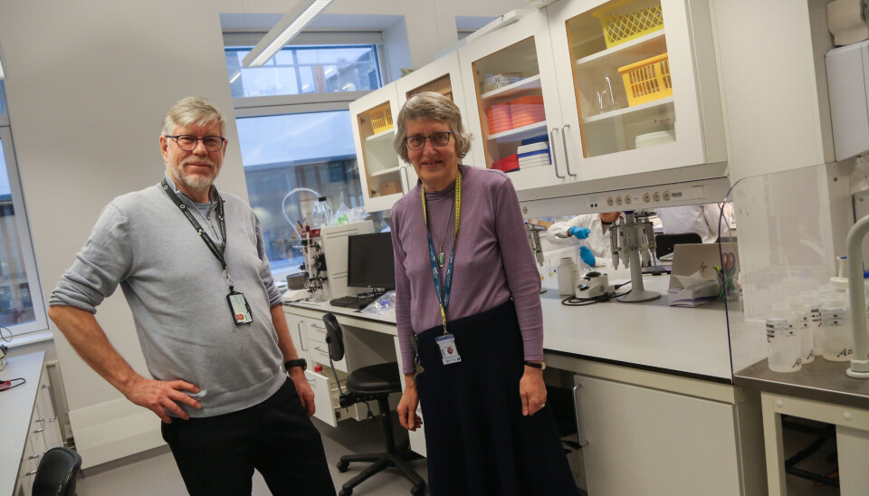 De jobber til de er over 70