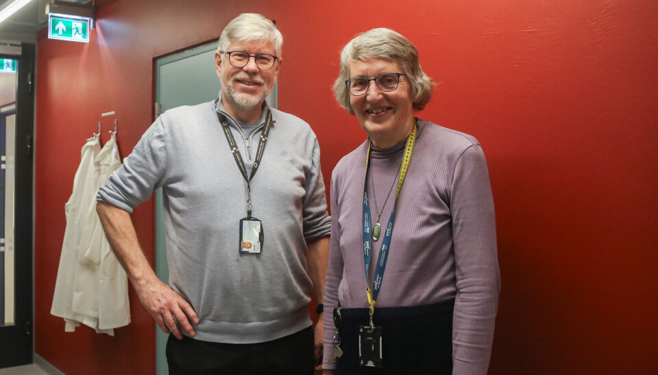 De jobber til de er over 70