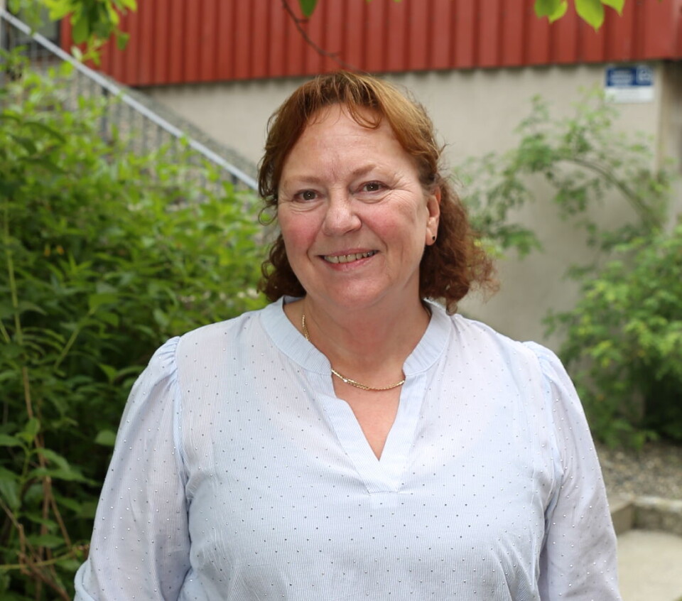 Seksjonssjef Elin Sølberg får inn over 2000 søknader om tillatelse til servering av mat og alkohol per år.
