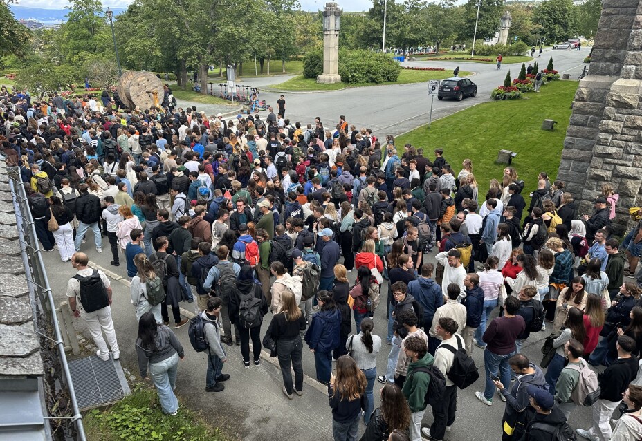 Masterutdanning sikrer nesten alle en jobb etter studiene