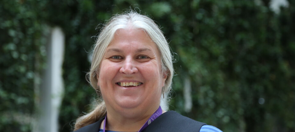 Samler samisk forskning: - En offentlig beklagelse er bare begynnelsen