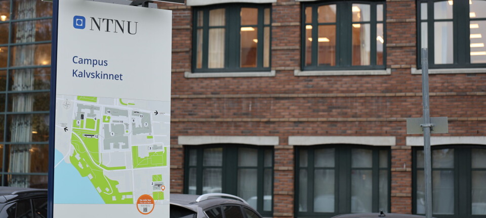 Dette området er mest utsatt for tyveri ved NTNU